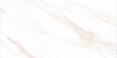 INDOGRESS 60X120 DOLCE CARRARA B